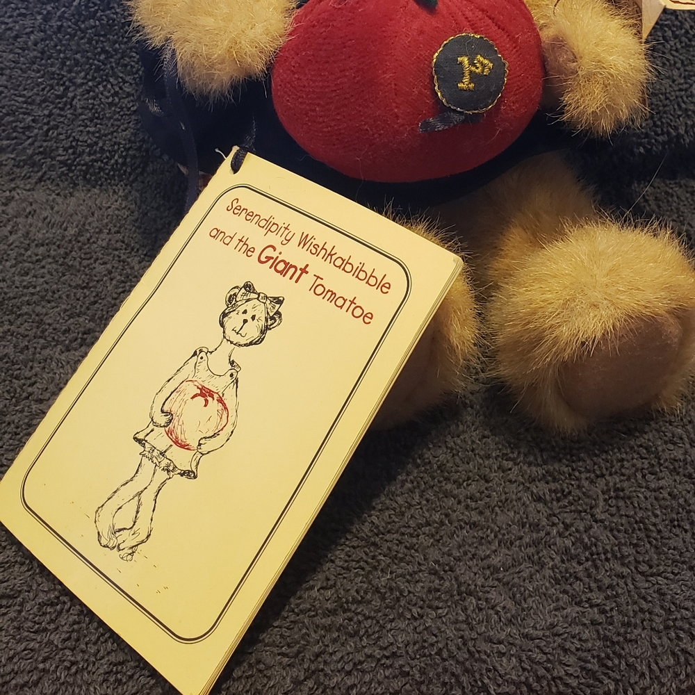 Boyd's bear - Picture 2 of 3